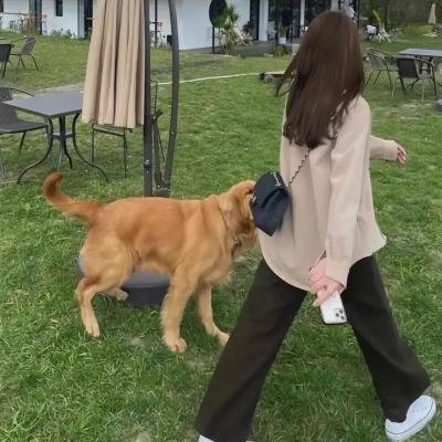 少年泰坦出击第四季